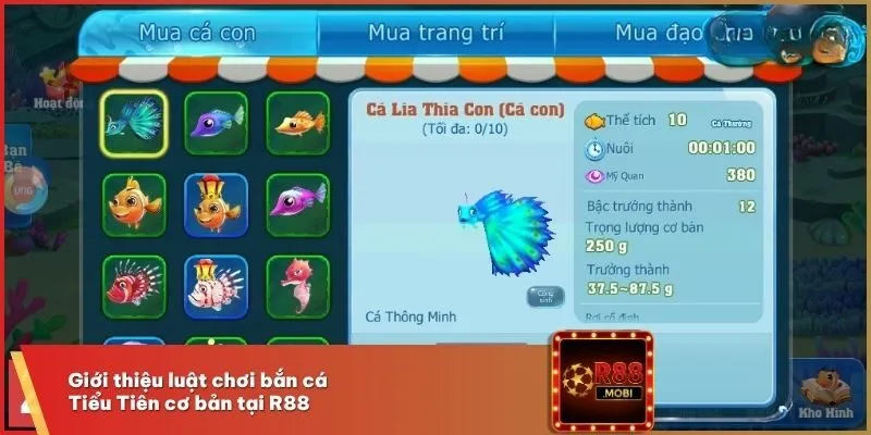 Bắn Cá Tiểu Tiên R88 - Hình Thức Giải Trí, Lời Khủng 2 Giới thiệu luật chơi bắn cá Tiểu Tiên cơ bản tại R88